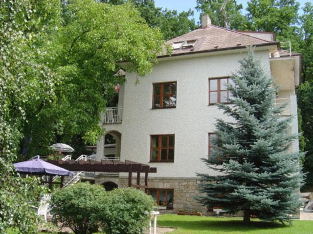 Hotel Villa Conti Písek Exterior photo